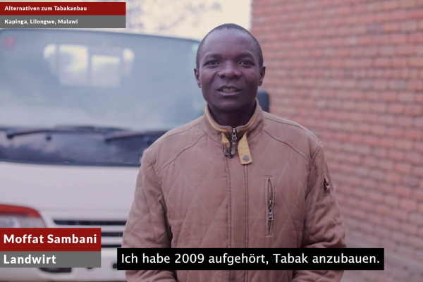 Filmstill aus dem Videoclip 'Ausstieg aus dem Tabakanbau in Malawi' (M. Sambani)